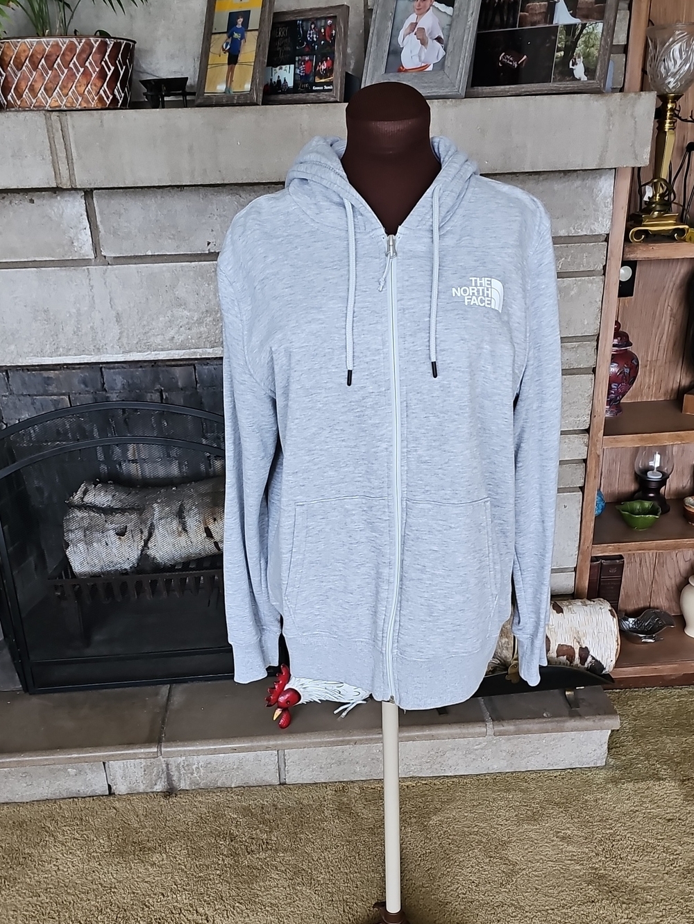 The North Face Evolution Full-Zip Hoodie Gray
